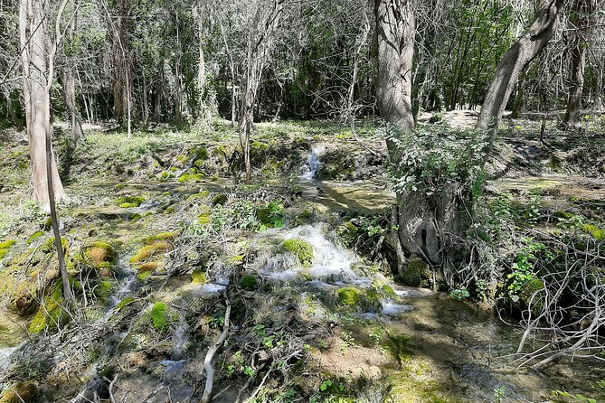Full Day Private Tour to Krka National Park From Dubrovnik - Directions and End Point
