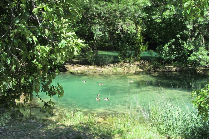 Full Day Private Tour to Krka National Park From Dubrovnik - Frequently Asked Questions