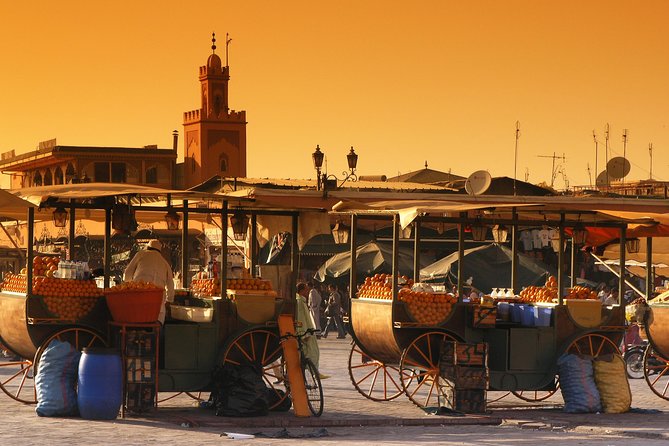 Full-Day Private Tour to Marrakech From Casablanca - Tour Highlights