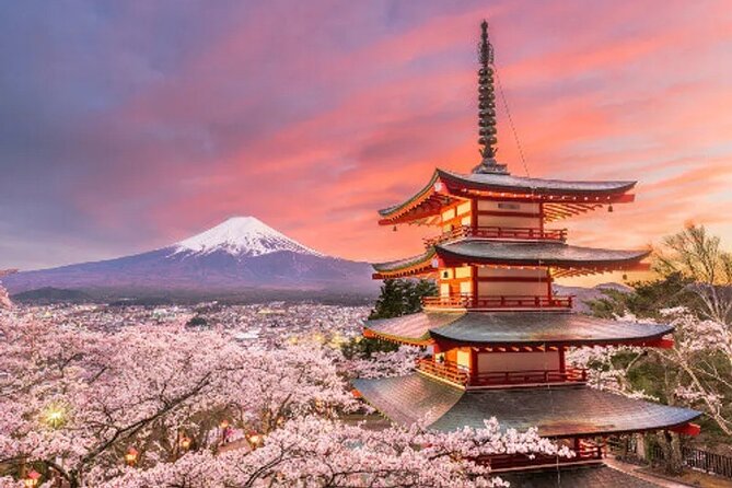 Full Day Private Tour To Mount Fuji Assisted By English Chauffeur - Pick-up and Drop-off Details