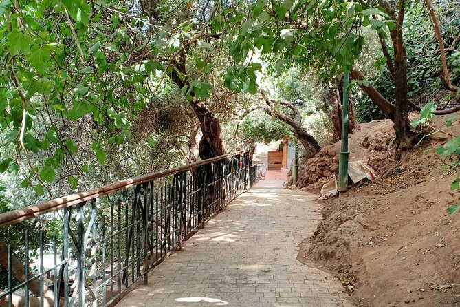 Full-Day Private Tour to Ouzoud Waterfalls From Marrakech - Pricing and Group Size