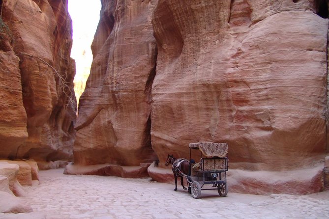 Full Day Private Tour To Petra & Wadi Rum - Booking Details