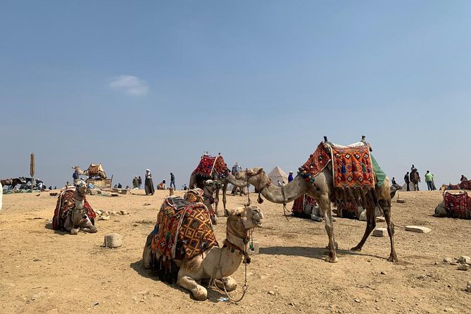 Full-Day Private Tour to Pyramids of Giza and Egyptian Museum - Good To Know