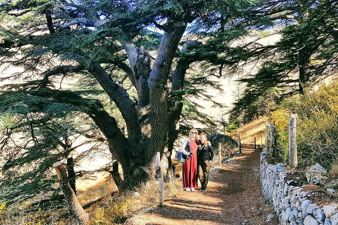 Full-Day Private Tour to Qadisha Valley, Cedars and Baalbek - The Sum Up