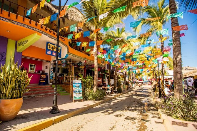 Full Day Private Tour to Sayulita and San Pancho - Tour Itinerary