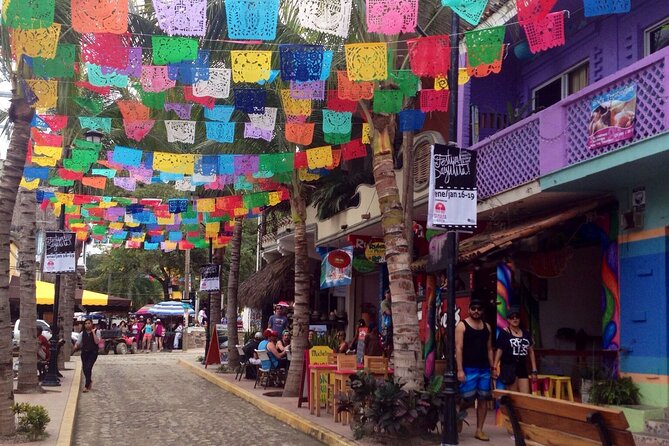 Full Day Private Tour to Sayulita and San Pancho - Highlights of the Tour