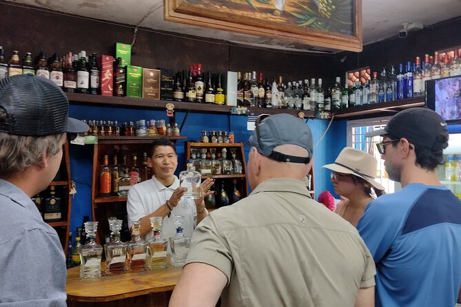 Full Day Private Tour to Sayulita and San Pancho - Personalized Experience