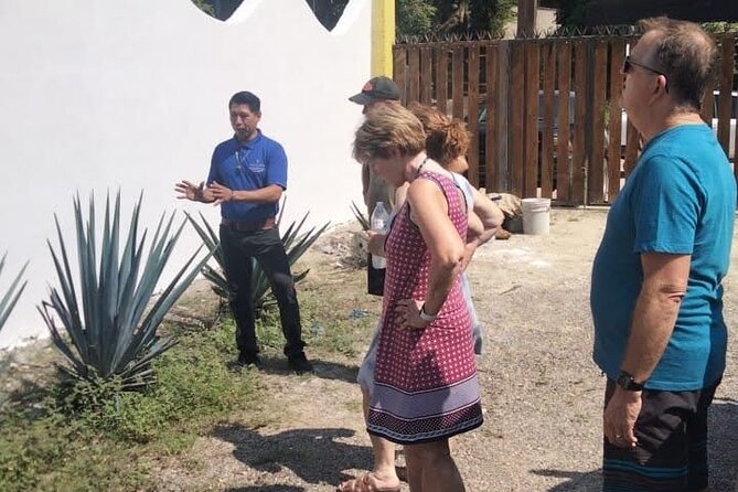 Full Day Private Tour to Sayulita and San Pancho - Booking and Pricing Information