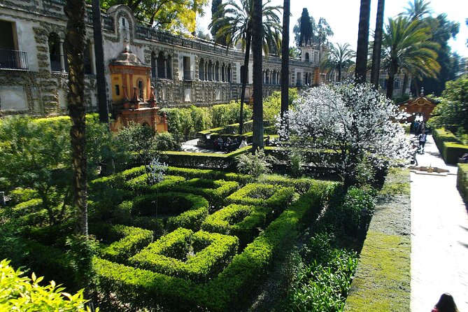 Full Day Private Tour to Sevilla From Málaga - Questions and Support