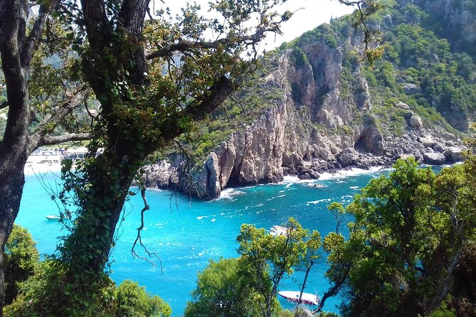 Full Day Private Tour to the North of Corfu Island - Tour Information and Options