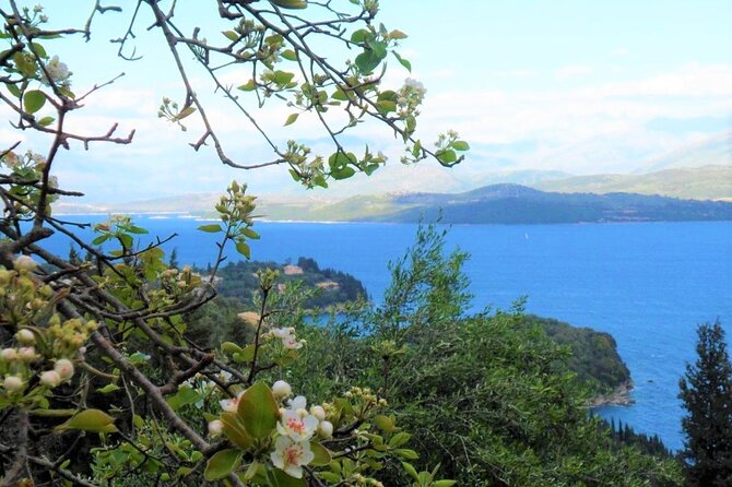 Full Day Private Tour to the North of Corfu Island - The Sum Up