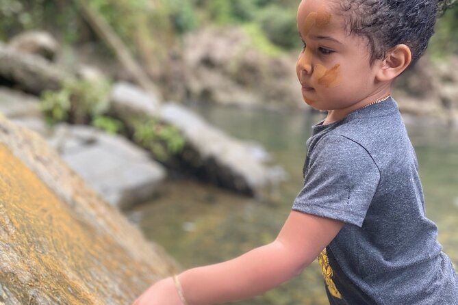 Full-Day Private Tour to Tinajas Waterfalls in El Yunque - Tour Highlights