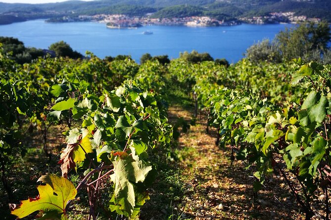 Full Day Private Tour to Trsteno, Ston and Pelješac Wineries - Directions