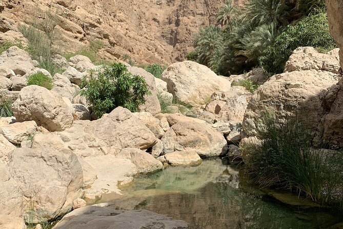 Full Day Private Tour to Wadi Shab and Bimmah Sinkhole - Reviews and Testimonials