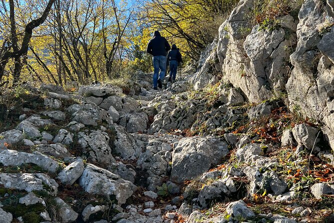 Full-Day Private Tour Truffles Lovers Experience With Lunch - Tour Overview