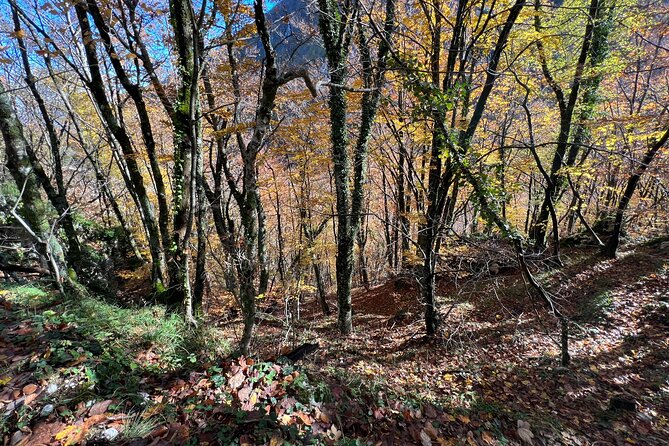 Full-Day Private Tour Truffles Lovers Experience With Lunch - Itinerary Highlights