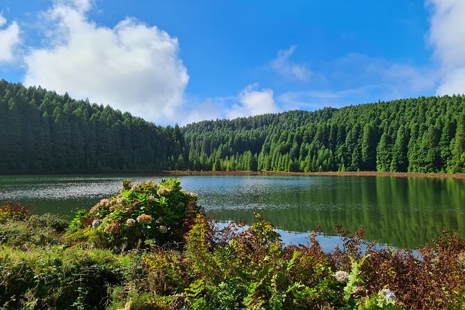 Full Day Private Tour West & East in São Miguel Island - East Side Highlights
