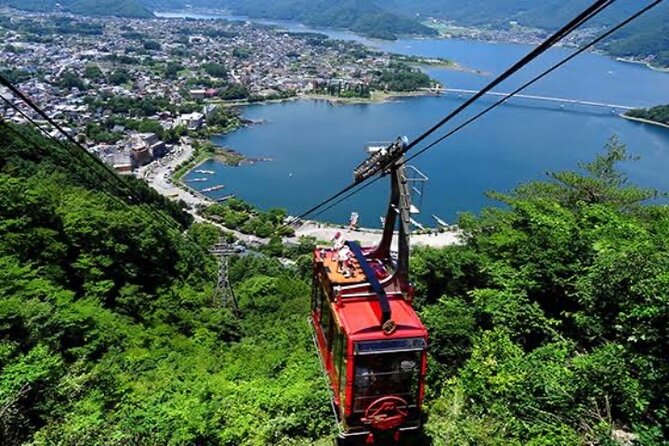 Full Day Private Tour With English Speaking Guide in Mount Fuji - Contact Information and Terms & Conditions