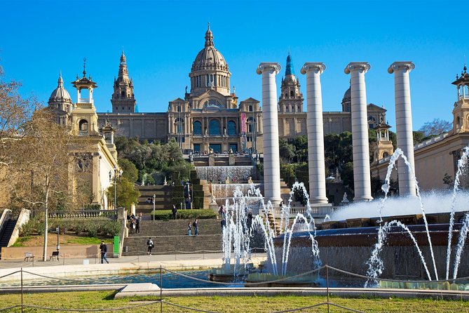 Full-Day Private Tour With Sagrada Familia and Paella - Pricing and Booking