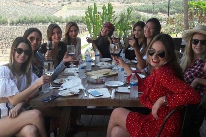 Full-Day Private Tour With Wine Tasting From Ensenada - Winery Selection