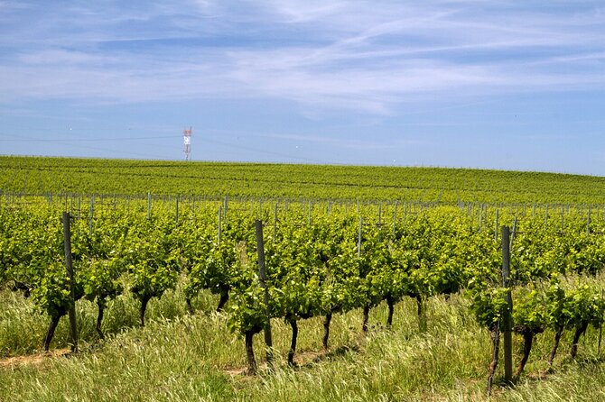 Full Day Private Transfer - Lisbon to Algarve Tour - Pricing and Booking Process