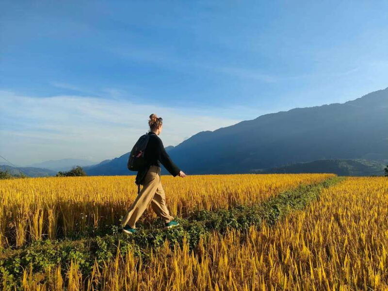 Full Day Private Trekking Mu Cang Chai - Good To Know