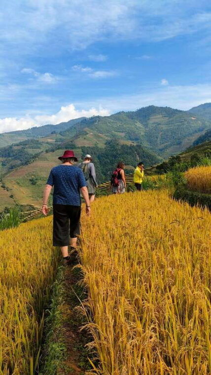 Full Day Private Trekking Mu Cang Chai - Highlights and Inclusions