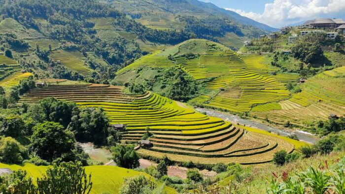 Full Day Private Trekking Mu Cang Chai - Pickup and Drop-off