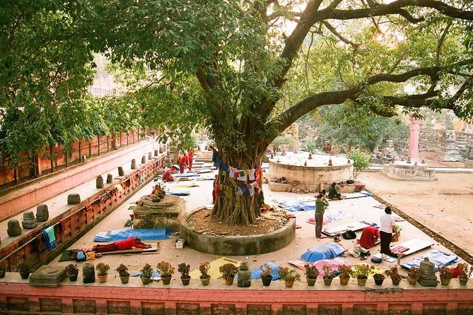 Full Day Private Trip to Bodhgaya From Varanasi - Customer Reviews