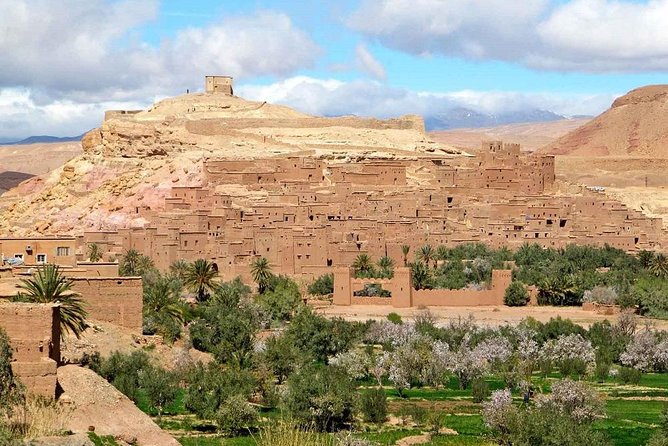 Full-Day Private Trip to Ouarzazate and UNESCO Kasbahs From Marrakech - Customer Reviews
