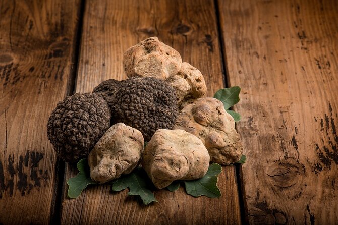 Full-Day Private Truffles Hunt in Umbria - Truffle Hunt Experience Highlights