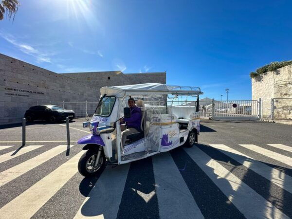 Full-Day Private Tuk Tuk City Tour in Lisbon - The Sum Up