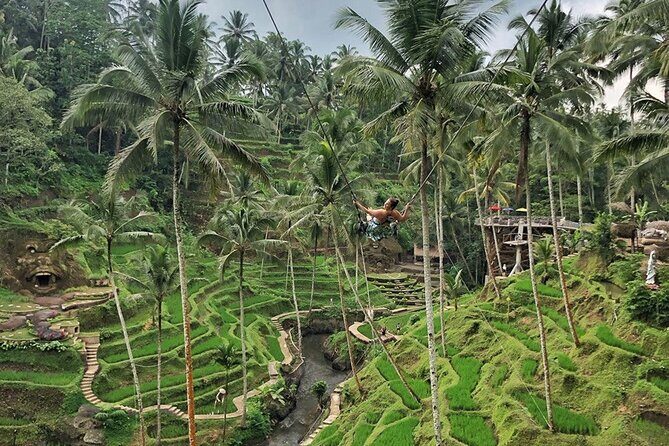 Full Day Private Ubud Tour - All Inclusive - Good To Know