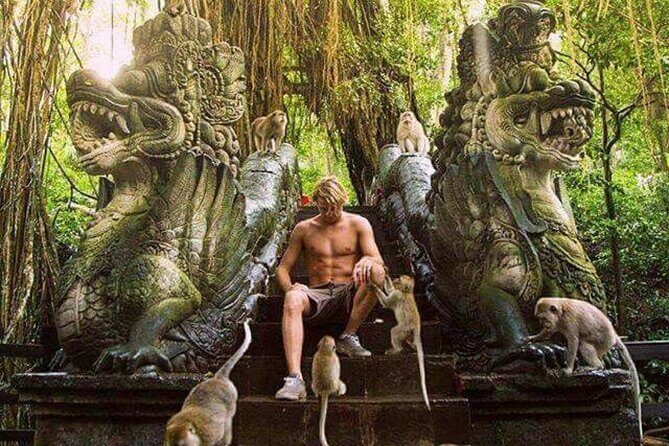 Full Day Private Ubud Tour - All Inclusive - Practical Details & Value