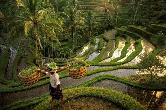 Full Day Private Ubud Tour - All Inclusive - FAQ