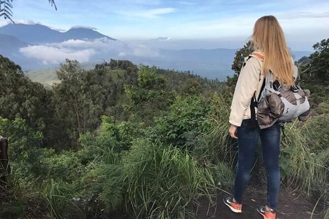 Full-Day Private Volcano Hiking Adventure in Central Bali - Tour Overview