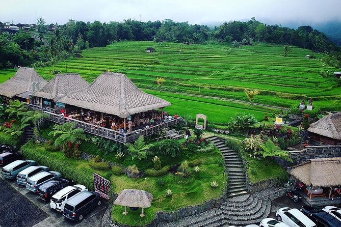 Full Day Private Water Temples Tour in Bali - Private Transportation and Driver