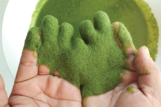 Full-Day Private Wellness Tour Ayutthaya and Wellness World - Meeting and Pickup Details