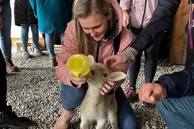Full-Day Private Wicklow Tour With Sheep Dog Demonstration - The Sum Up