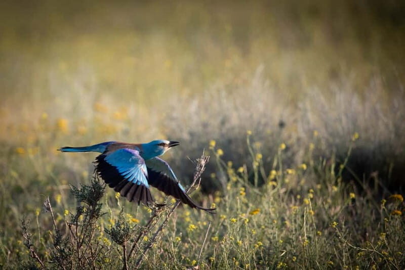 Full-day Private Wilderness tour in Vashlovani National Park - Good To Know