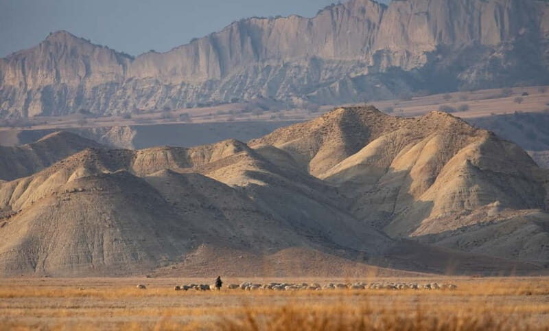 Full-day Private Wilderness tour in Vashlovani National Park - The Sum Up