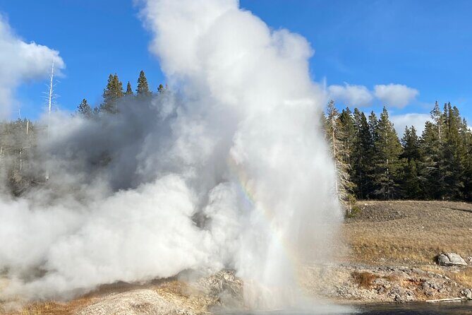 Full Day Private Wildlife/Geyser Tour from West Yellowstone - What to Expect from the Experience