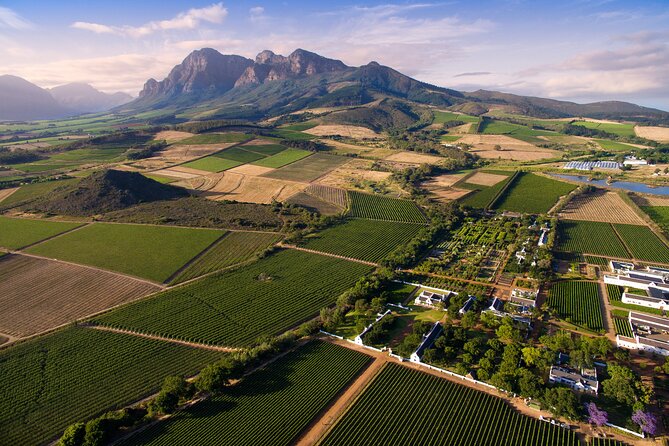 Full Day Private Wine & Other Delights - Tour Details