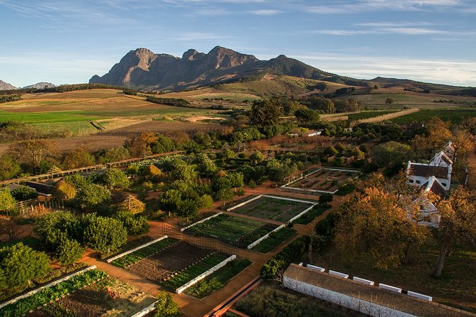 Full Day Private Wine & Other Delights - Pickup and Logistics