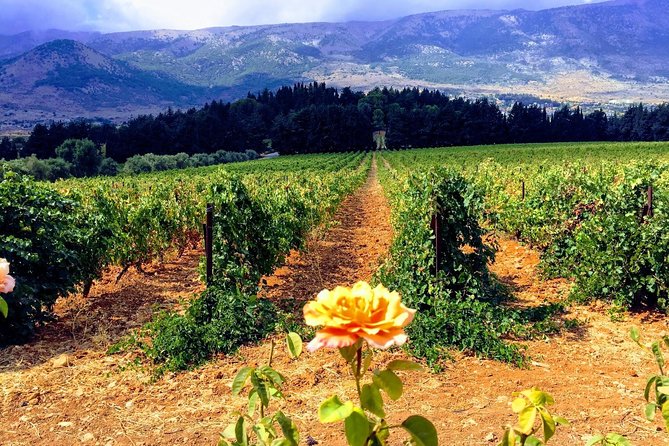 Full-Day Private Wine Tasting Tour - Tour Details