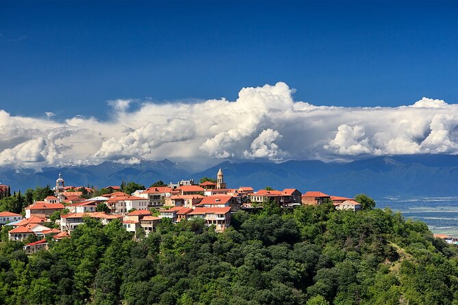 Full Day Private Wine Tasting Tour In Kakheti Region - Tour Overview