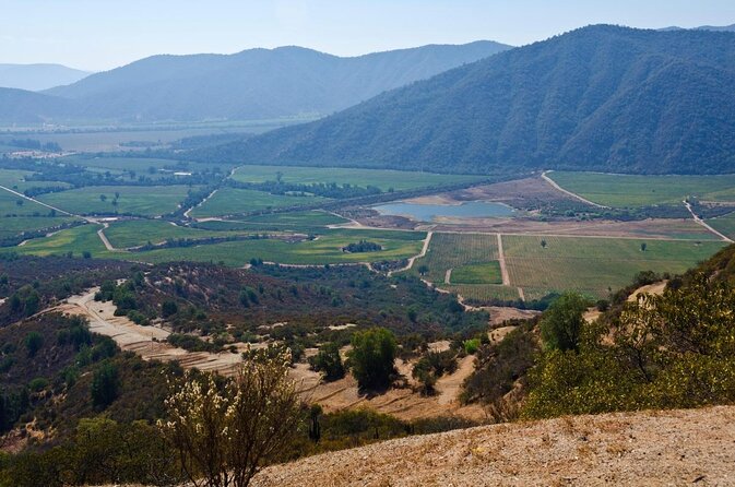 Full Day Private Wine Tour Casablanca Valley From Santiago - Customer Reviews