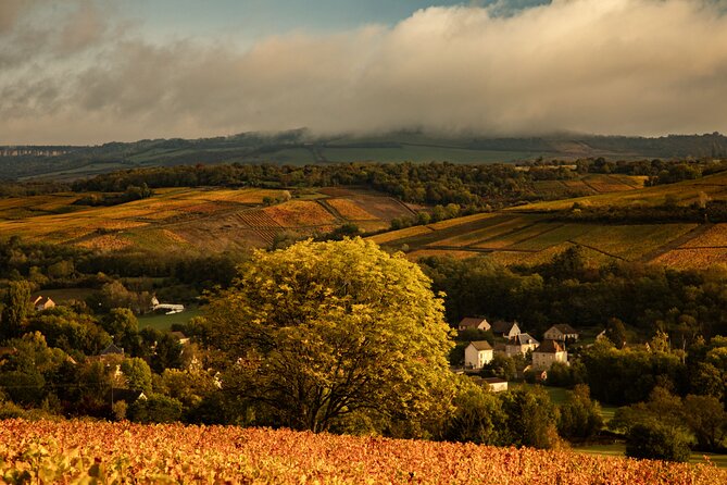 Full-Day Private Wine Tour in Côte De Beaune - Good To Know