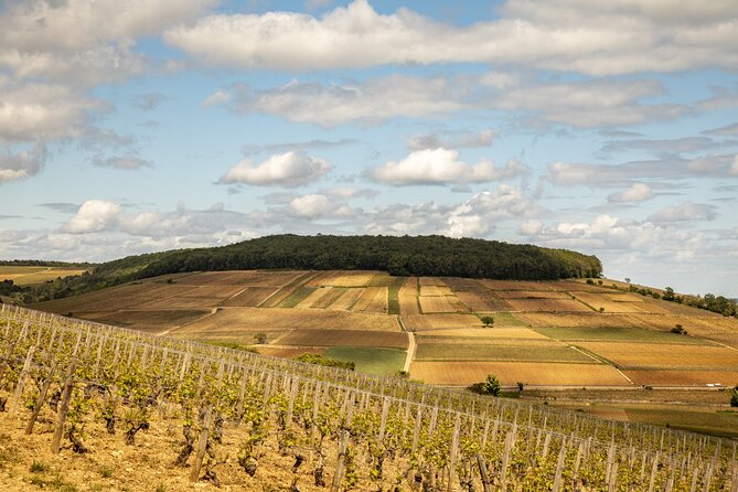 Full-Day Private Wine Tour in Côte De Beaune - Pickup Information