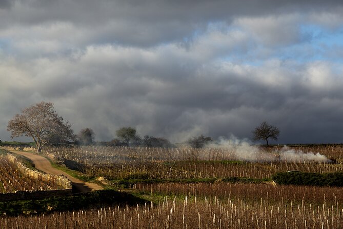 Full-Day Private Wine Tour in Côte De Beaune - The Sum Up